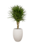 IMAGE for product variant SKU CC0063868