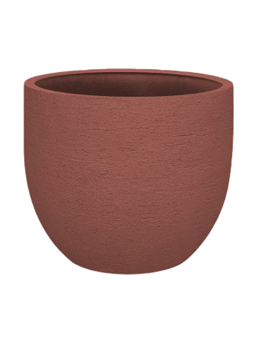 IMAGE for product variant SKU CC0063946