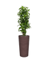 IMAGE for product variant SKU CC0064395