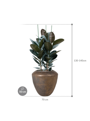 IMAGE for product variant SKU CC0064999