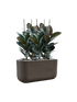 IMAGE for product variant SKU CC0066134