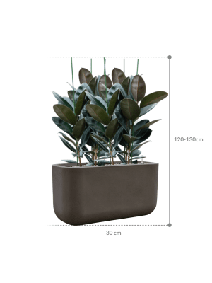 IMAGE for product variant SKU CC0066134