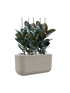 IMAGE for product variant SKU CC0066137