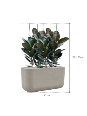 IMAGE for product variant SKU CC0066137