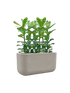 IMAGE for product variant SKU CC0066152