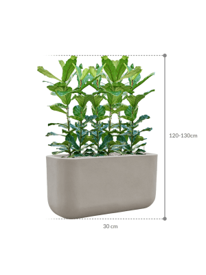 IMAGE for product variant SKU CC0066152