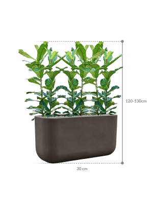 IMAGE for product variant SKU CC0066155