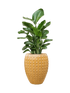 IMAGE for product variant SKU CC0066473