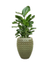 IMAGE for product variant SKU CC0066476