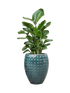IMAGE for product variant SKU CC0066479
