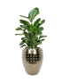 IMAGE for product variant SKU CC0066488