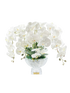 IMAGE for product variant SKU CPO01