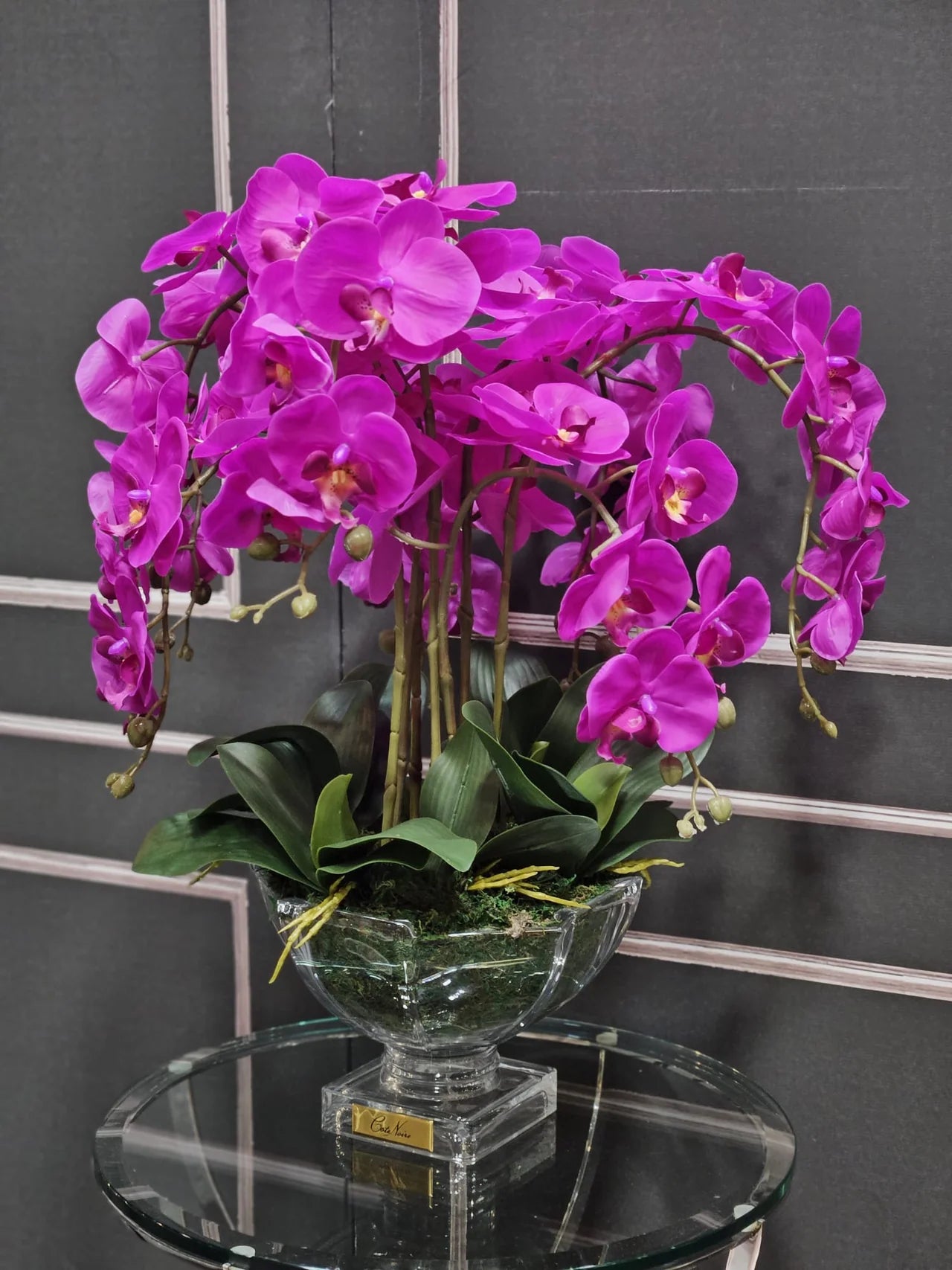 IMAGE for product variant SKU CPO09
