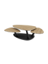 IMAGE for product variant SKU CT814CC