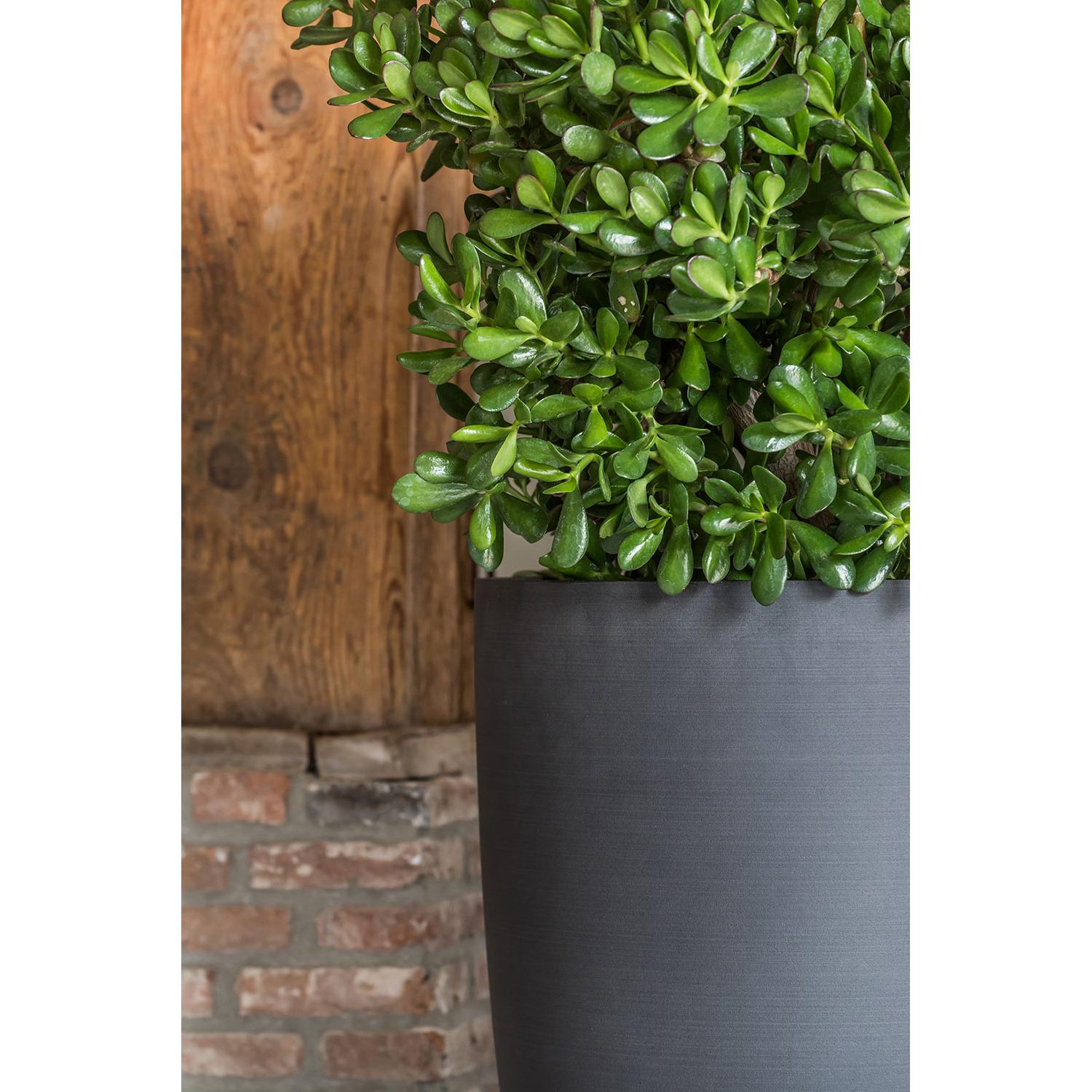 
High-quality indoor/outdoor planter "Refined Bucket" - Volcano Black