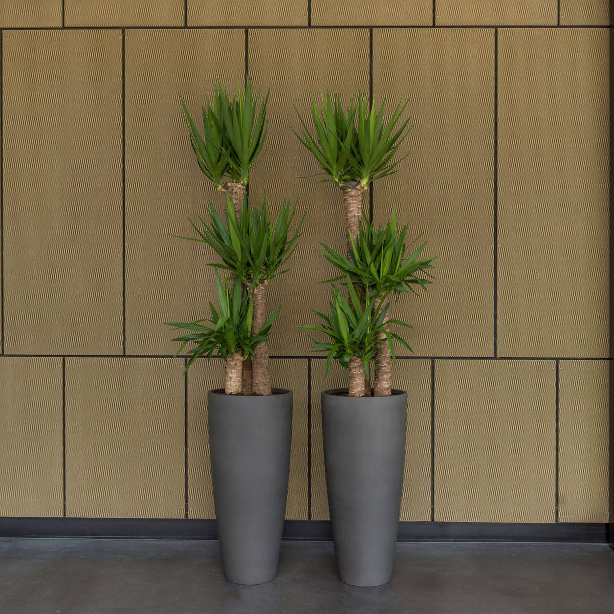 
Vaso per fiori di alta qualità per interni/esterni „Refined Dax“ - Bianco naturale / Ø 46.5 x Altezza 99 cm