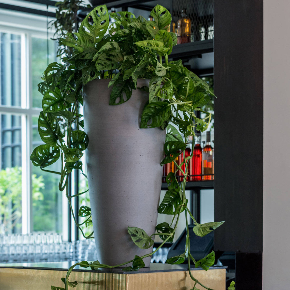 
Vaso per fiori di alta qualità per interni/esterni „Refined Dax“ - Grigio / Ø 37 x Altezza 80 cm