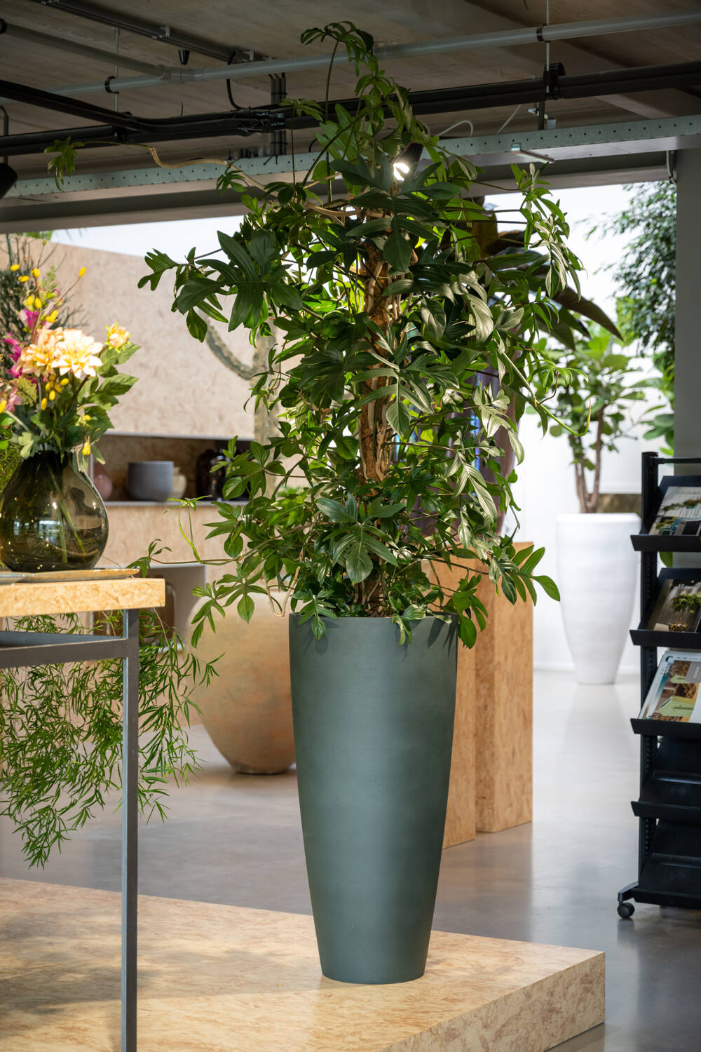 
Vaso per fiori di alta qualità per interni/esterni „Refined Dax“ - Verde pino / Ø 37 x Altezza 80 cm