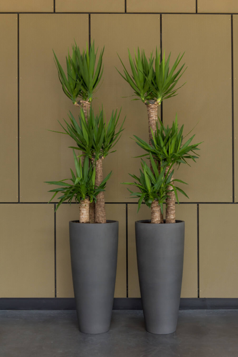 
Vaso per fiori di alta qualità per interni/esterni „Refined Dax“ - Vulkan Nero / Ø 37 x Altezza 80 cm