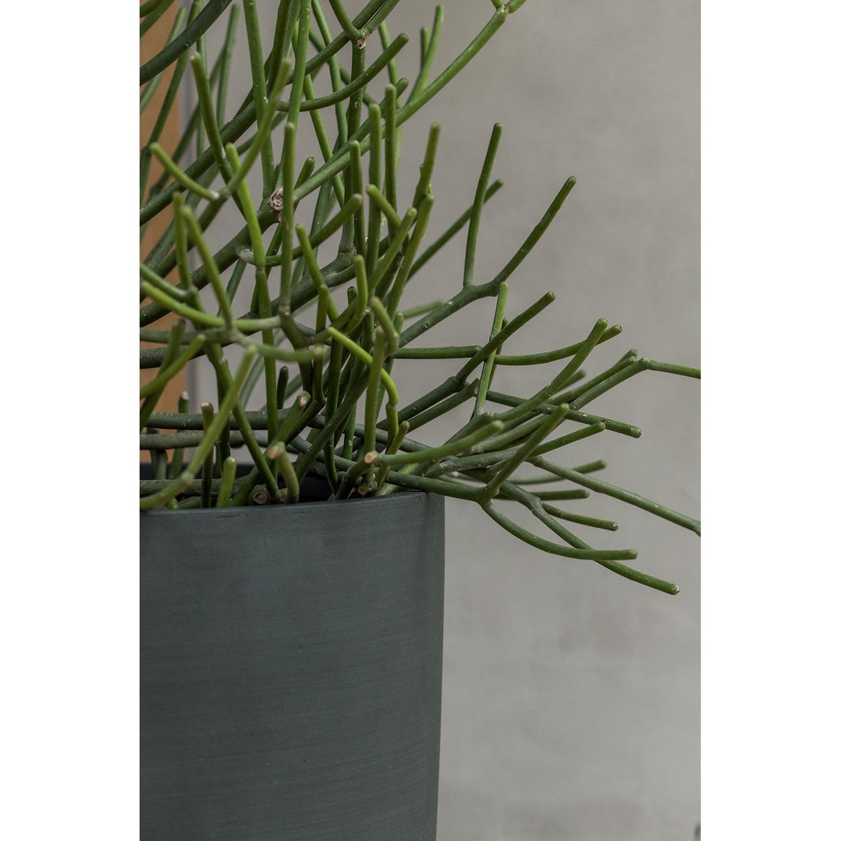 
Vaso per fiori di alta qualità per interni/esterni „Refined Ben“ - Verde pino / Ø 40 x Altezza 55 cm