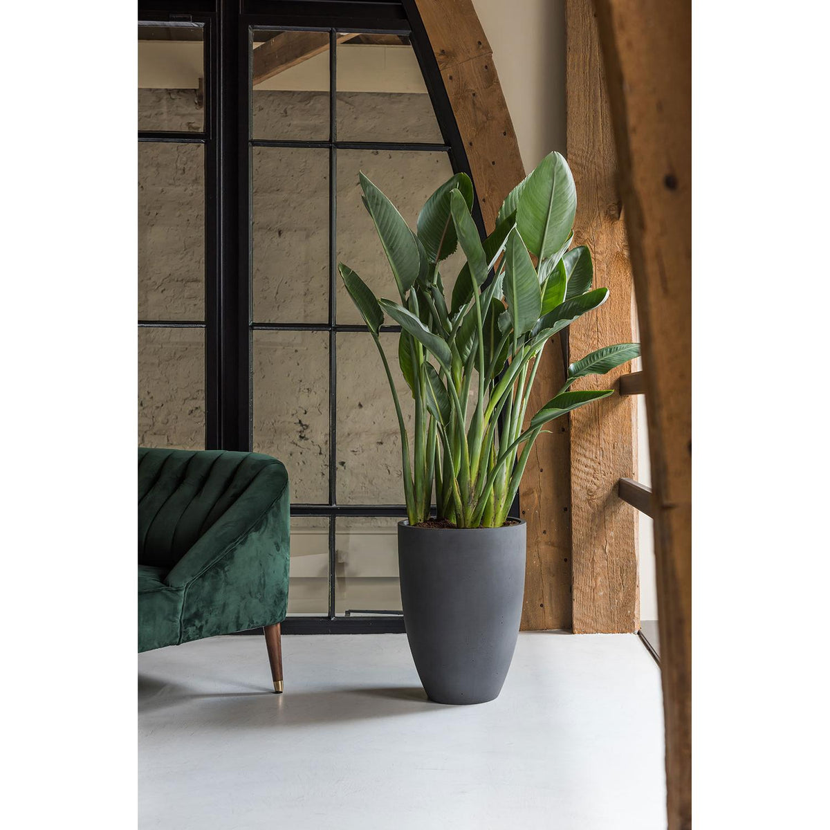 
Vaso per fiori di alta qualità per interni/esterni „Refined Ben“ - Vulkan Nero / Ø 40 x Altezza 55 cm