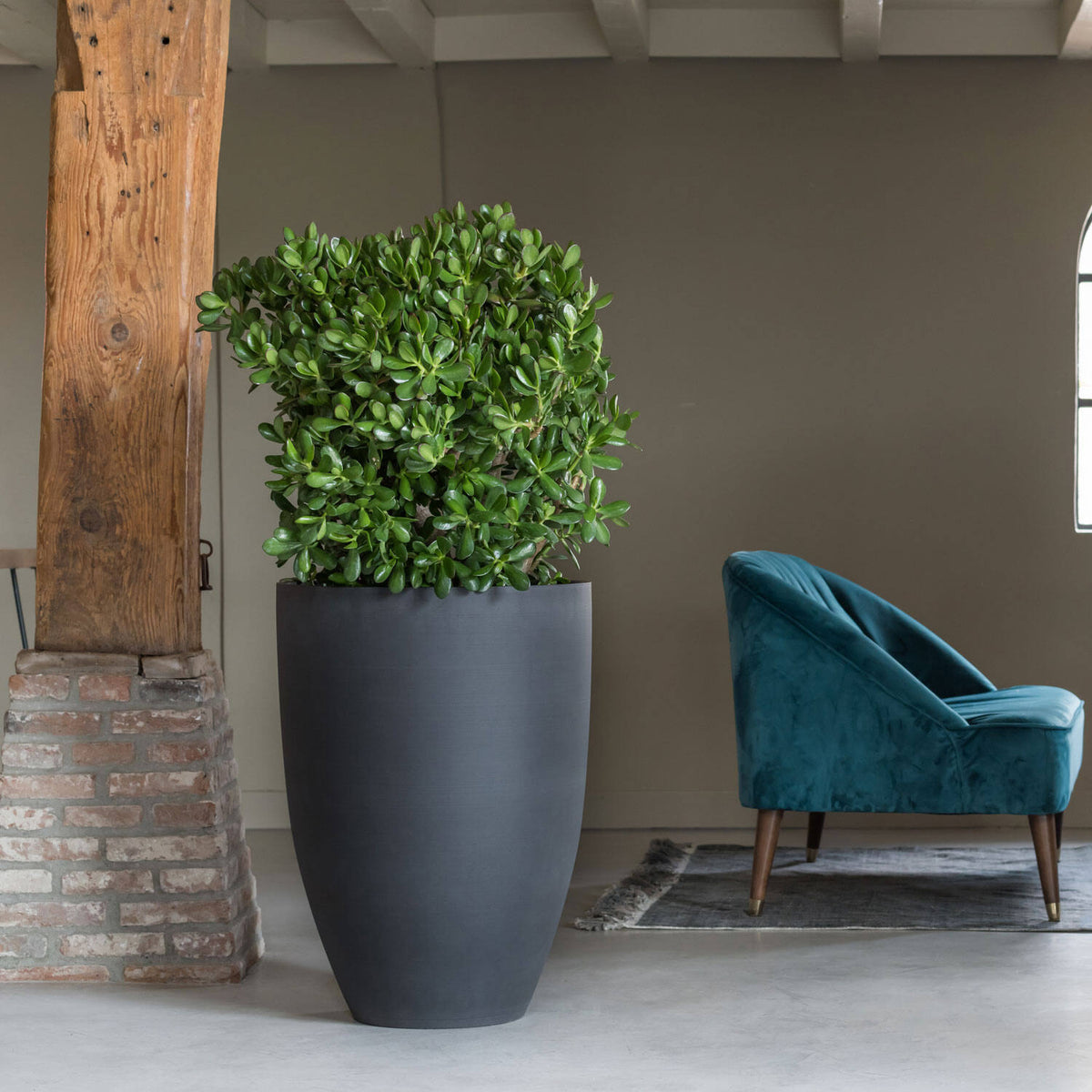 
Vaso per fiori di alta qualità per interni/esterni „Refined Ben“ - Vulkan Nero / Ø 52 x Altezza 72 cm