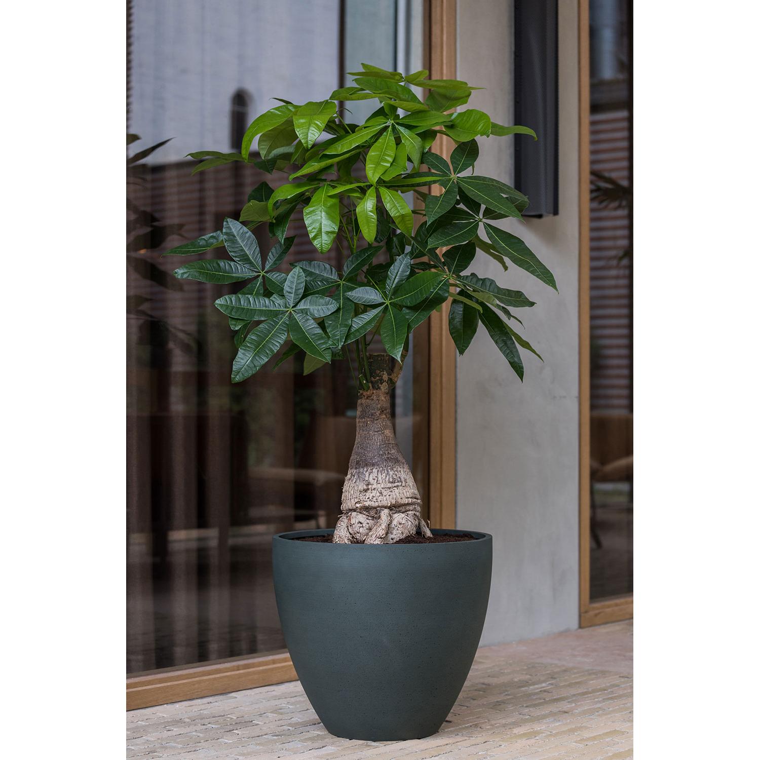 
High-Quality Indoor/Outdoor Planter "Refined Jesslyn" - Pine green / Ø 60 x Height 52 cm