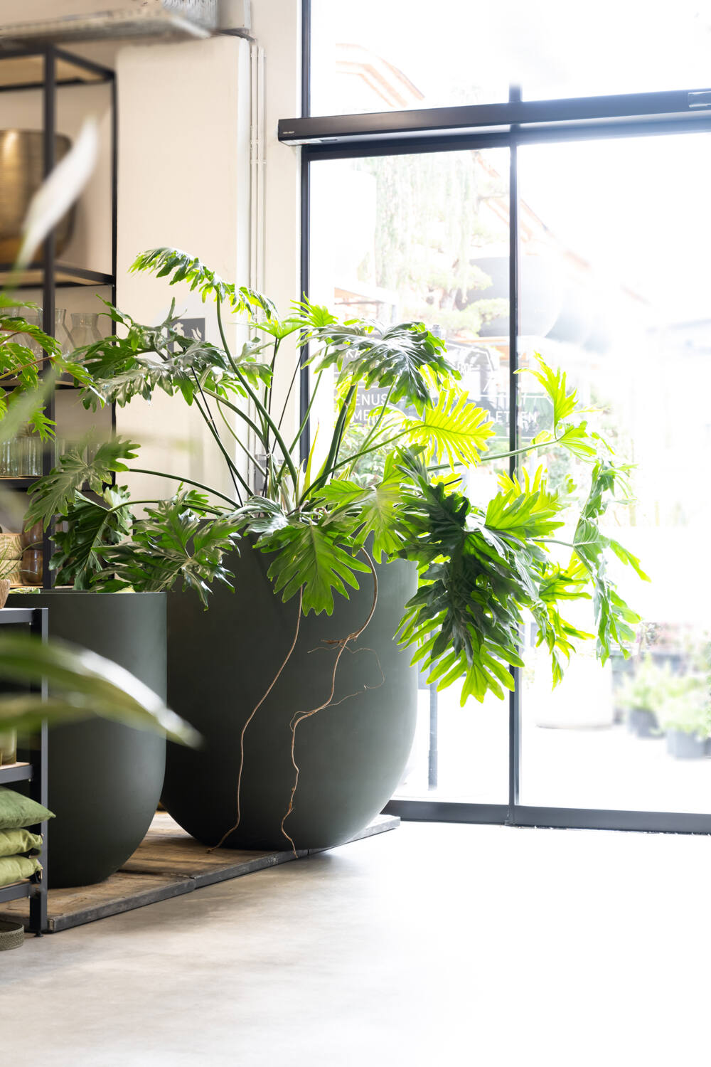 
Vaso per fiori di alta qualità per interni/esterni „Refined Lex XXL“ - Verde pino