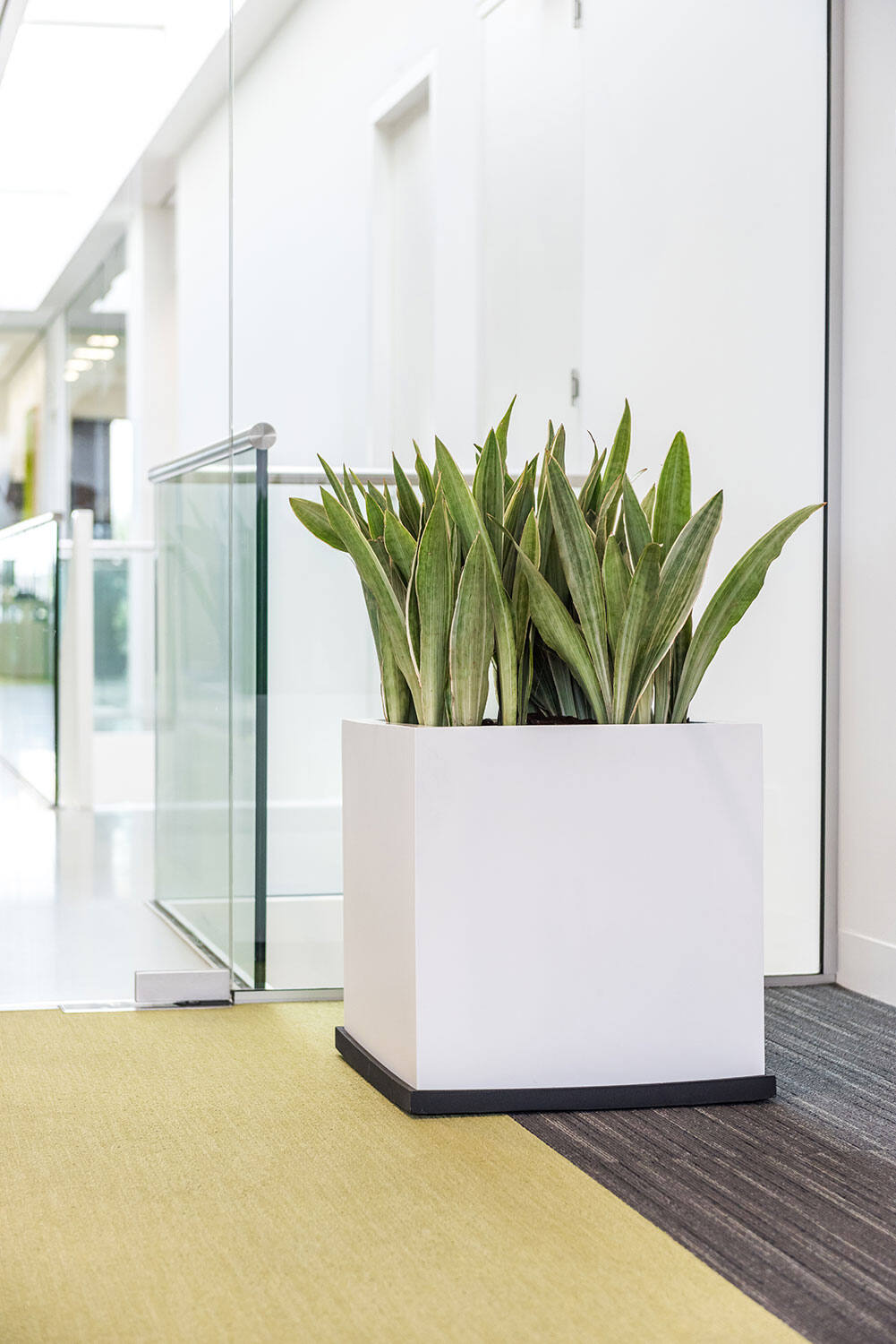 
Vaso per fiori di alta qualità per interni/esterni „Essential Block“ - Bianco opaco / 50 x 50 x Altezza 50 cm