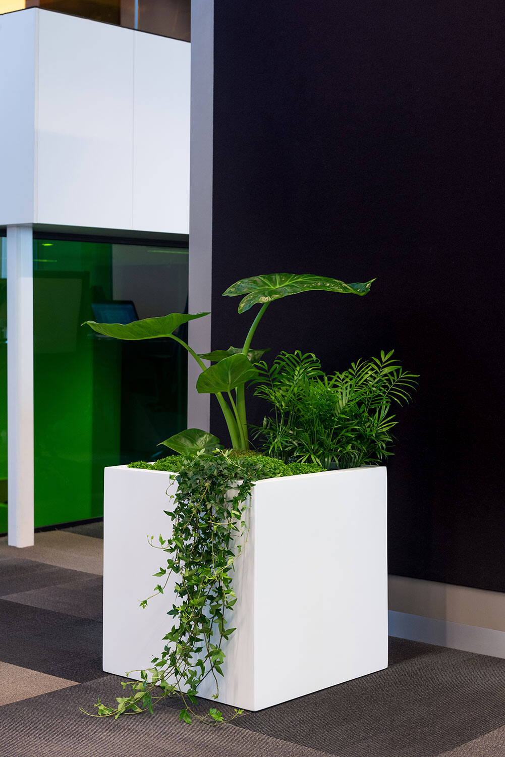 
Vaso per fiori di alta qualità per interni/esterni „Essential Block“ - Bianco opaco / 70 x 70 x Altezza 70 cm