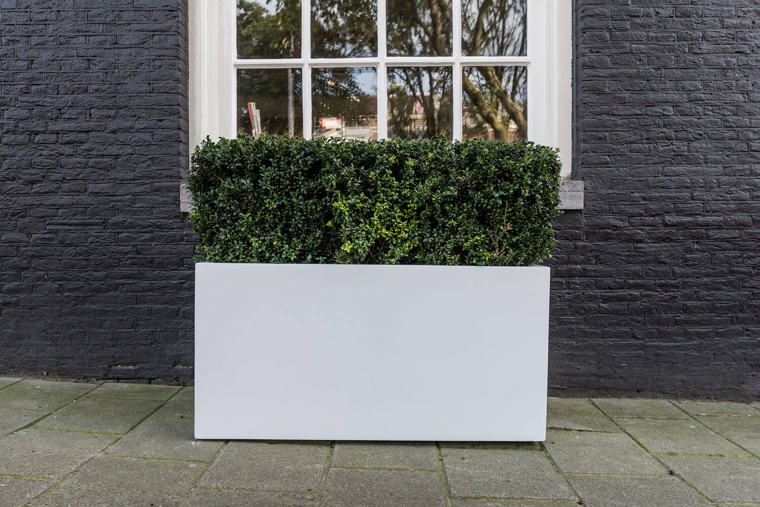 IMAGE for product variant SKU E1009-S1-W