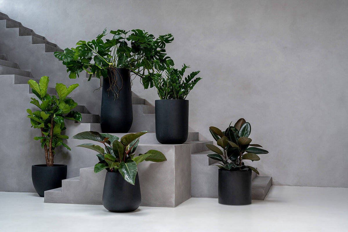 
Vaso per fiori di alta qualità per interni/esterni „Natural Max“ - Nero