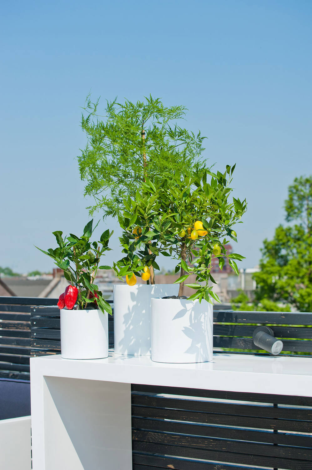 
High-Quality Indoor/Outdoor Plant Pot "Essential Max" - White High-Gloss