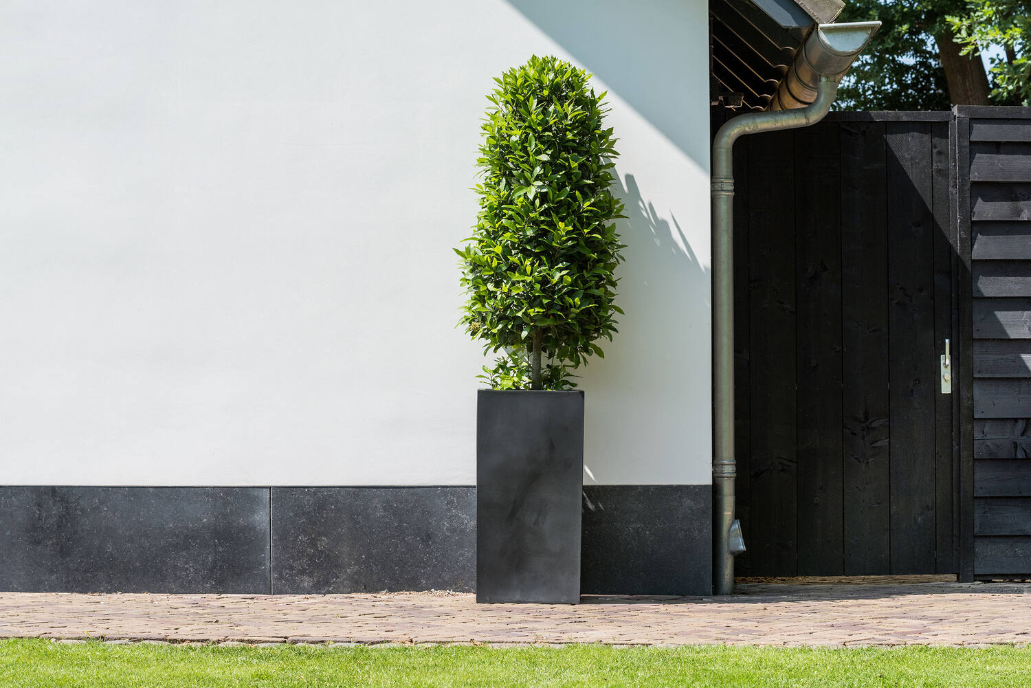 IMAGE for product variant SKU E1016-80-01