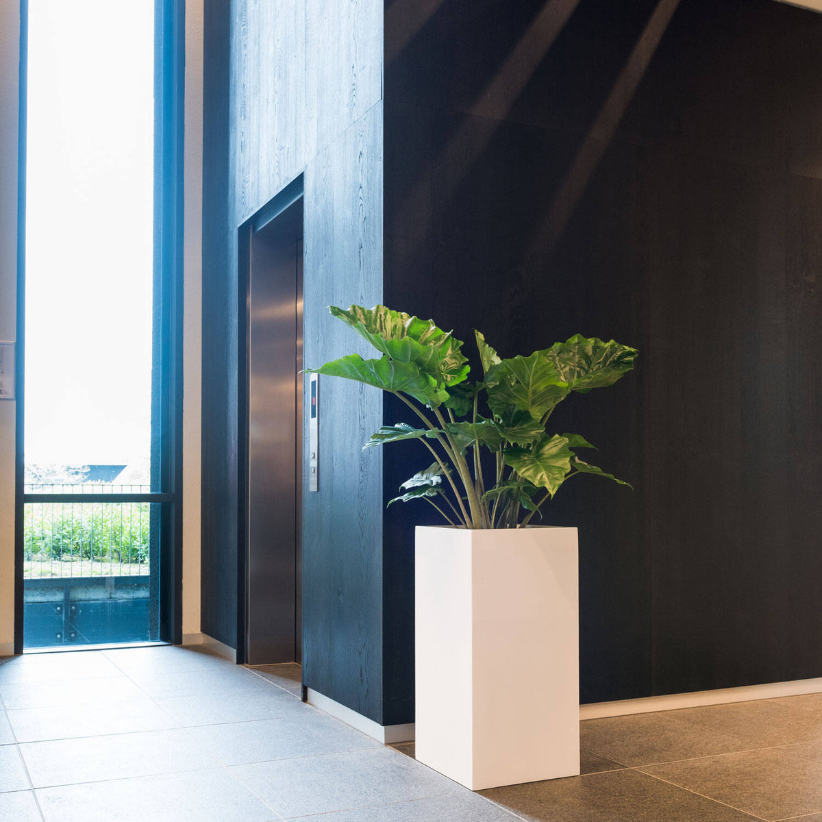 
Vaso per fiori di alta qualità per interni/esterni „Essential Bouvy“ - Bianco opaco / 40 x 40 x Altezza 80 cm