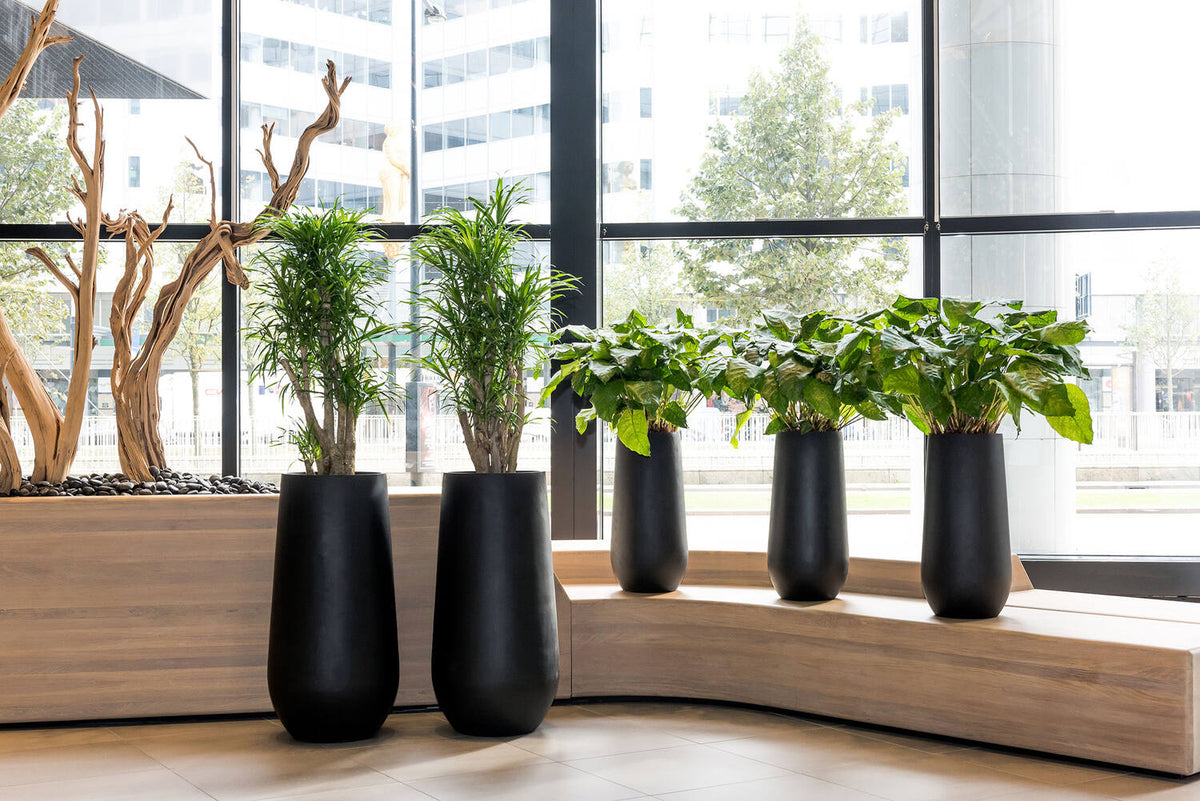 
Vaso per fiori di alta qualità per interni/esterni „Natural Nax“ - Ø 50 x Altezza 100 cm / Nero