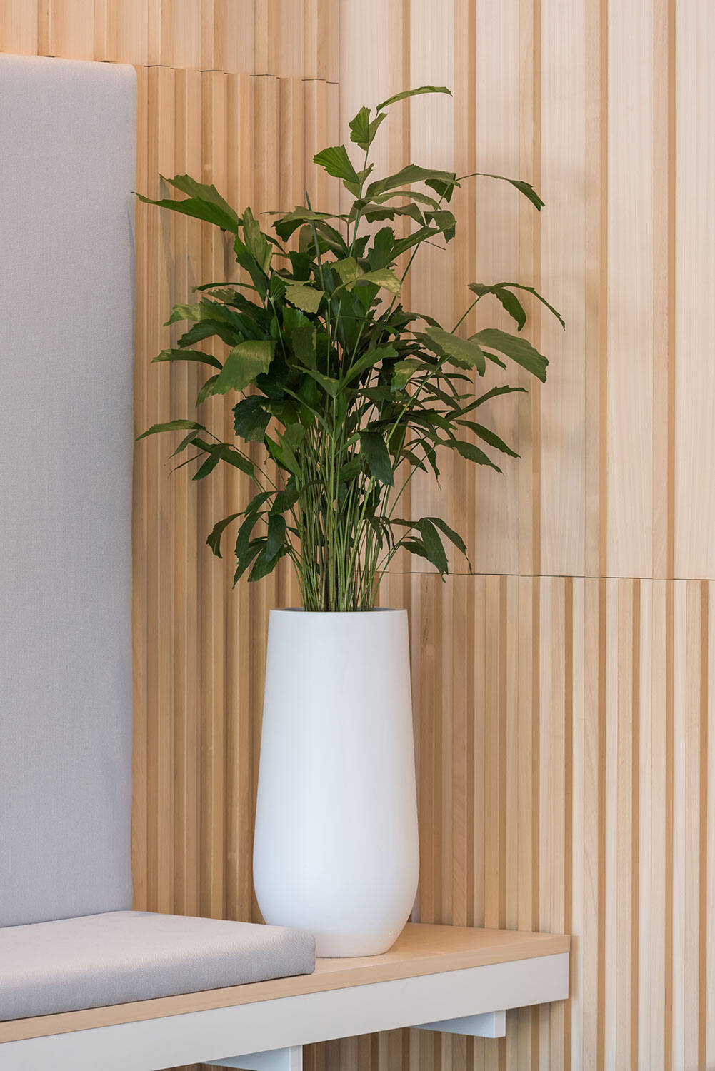 
Vaso per fiori di alta qualità per interni/esterni „Essential Nax“ - Bianco opaco / Ø 50 x Altezza 101 cm
