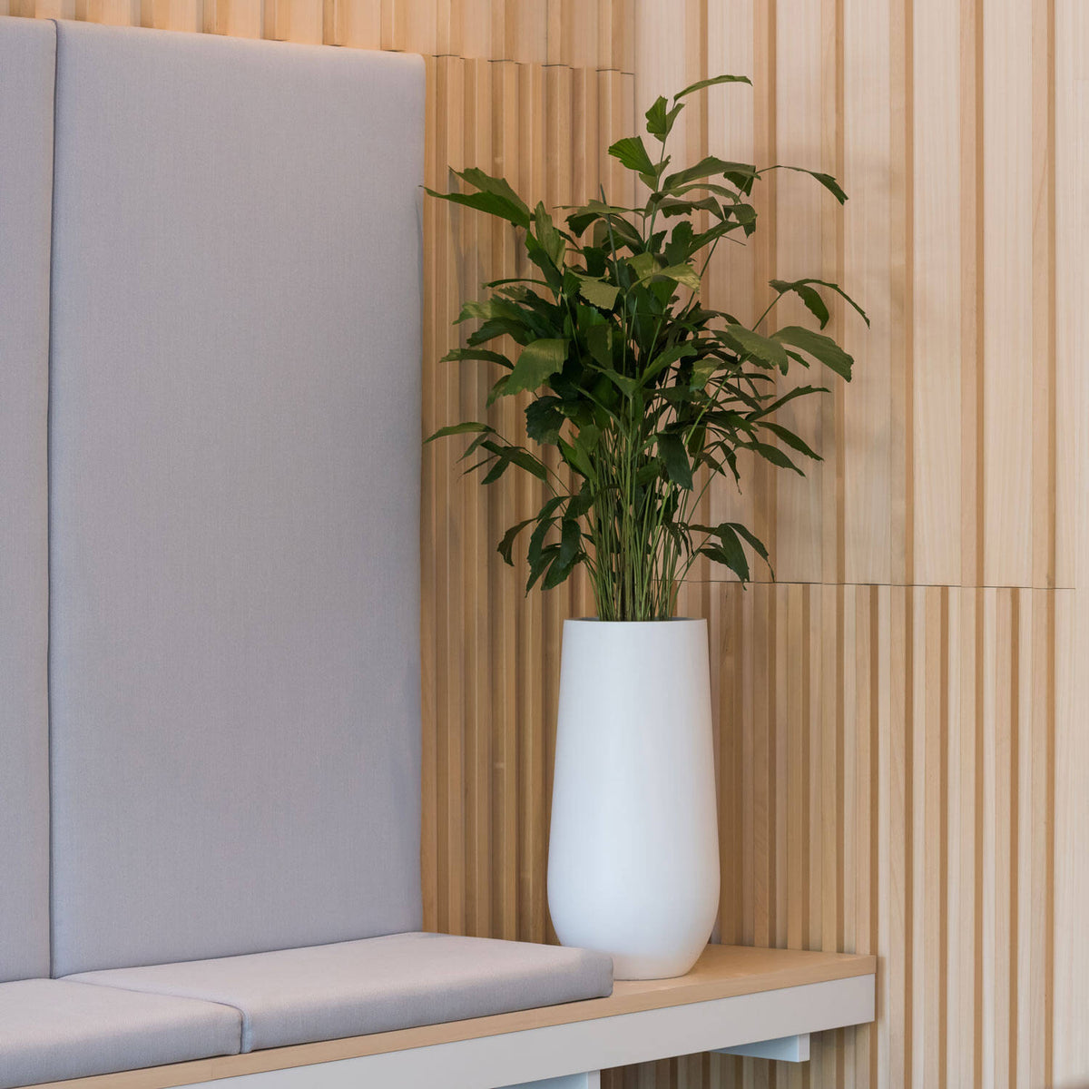
Vaso per fiori di alta qualità per interni/esterni „Essential Nax“ - Bianco opaco / Ø 35 x Altezza 70 cm