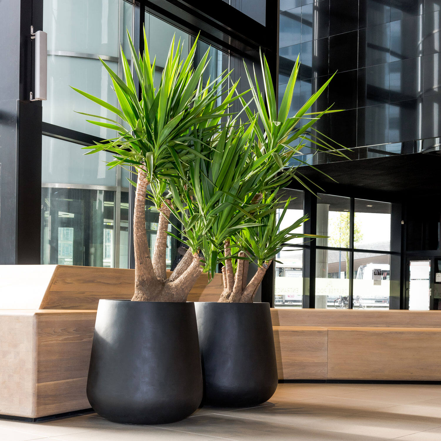 
High-Quality Indoor/Outdoor Planter "Natural Pax XL" - Black