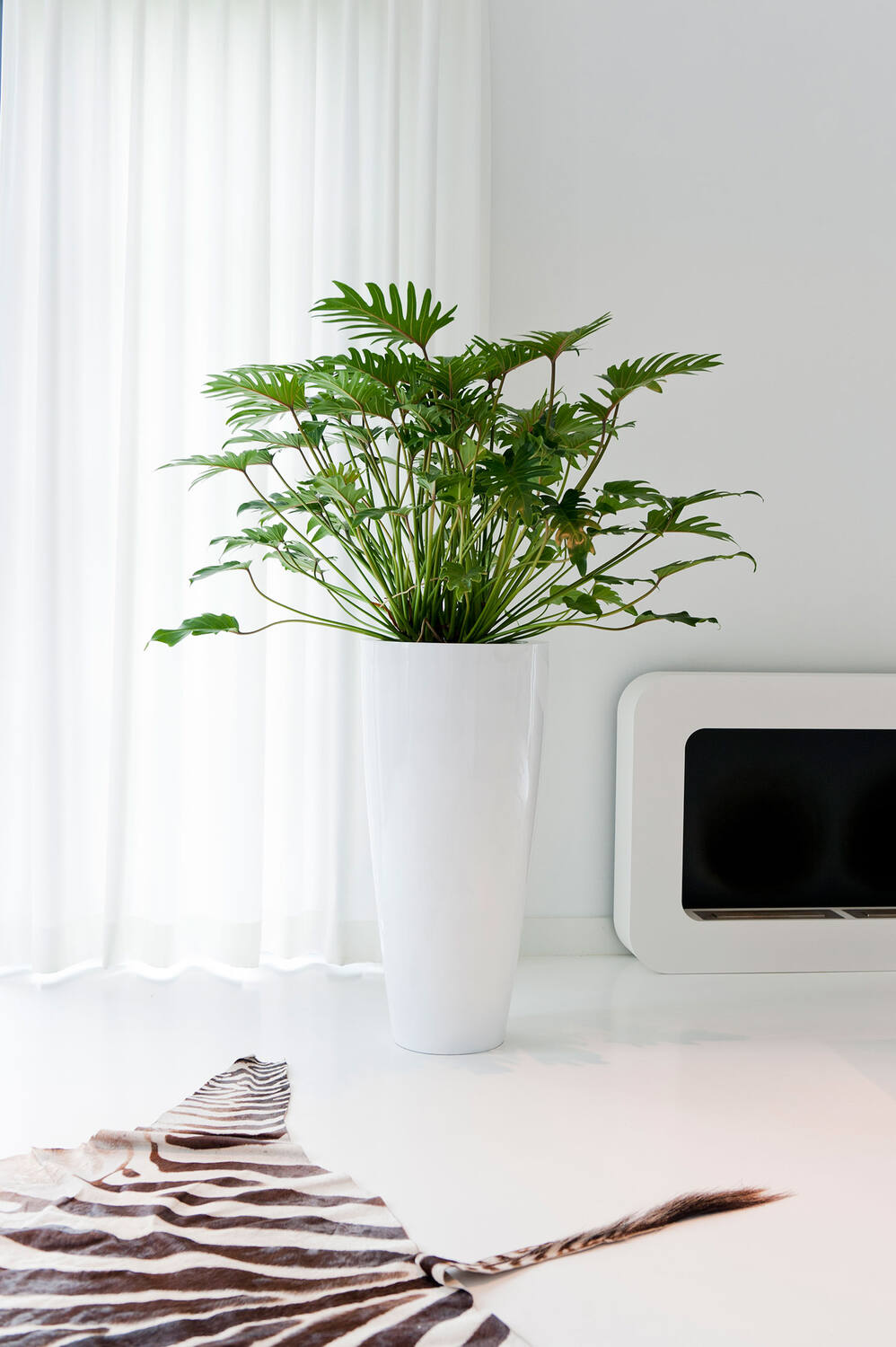 
High-quality indoor/outdoor planter "Essential Dax" - White High-Gloss / Ø 37 x height 80 cm