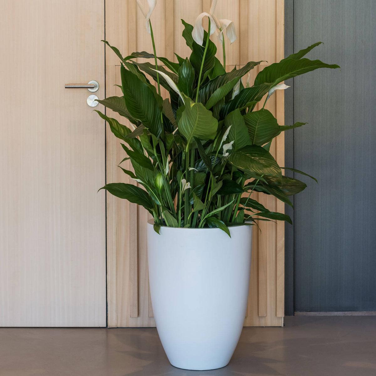 
Vaso per fiori di alta qualità per interni/esterni „Essential Ben“ - Bianco opaco / Ø 40 x 55 cm