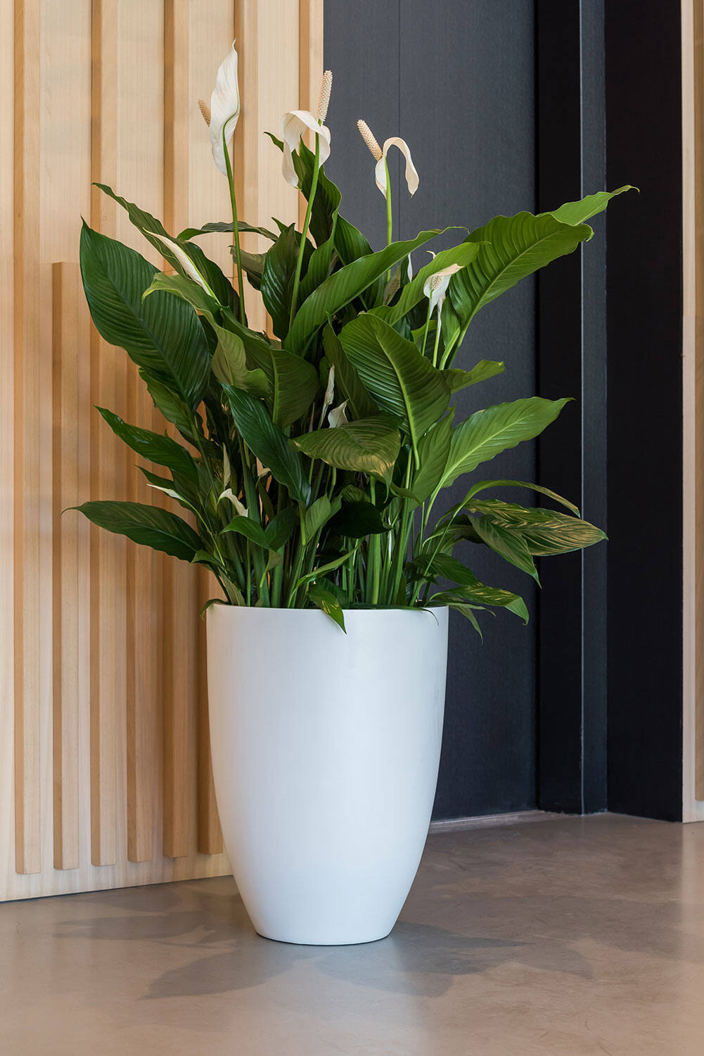 
Vaso per fiori di alta qualità per interni/esterni „Essential Ben“ - Bianco opaco / Ø 52 x 72 cm
