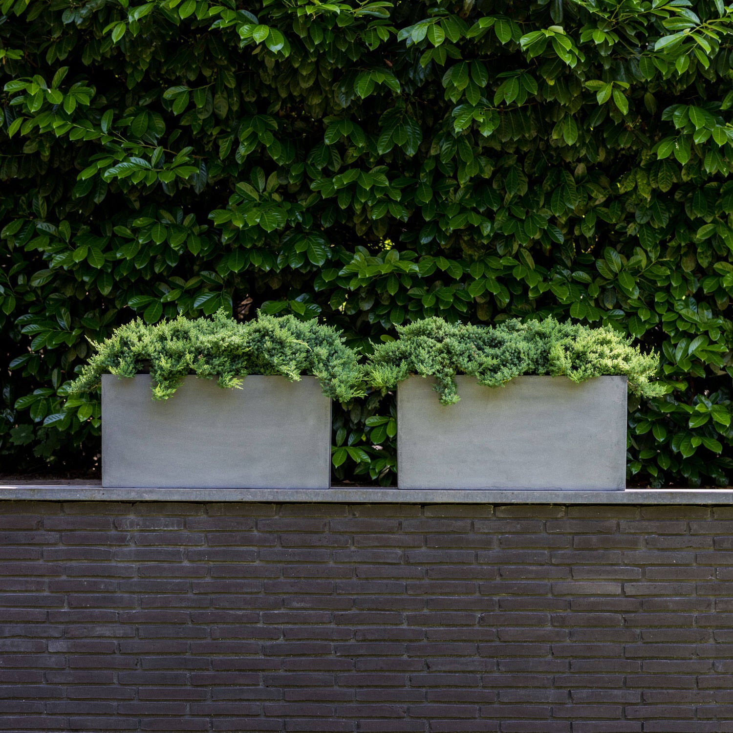 
High-Quality Indoor/Outdoor Planter "Natural Jort" - 80 x 30 x Height 40 cm / Grey