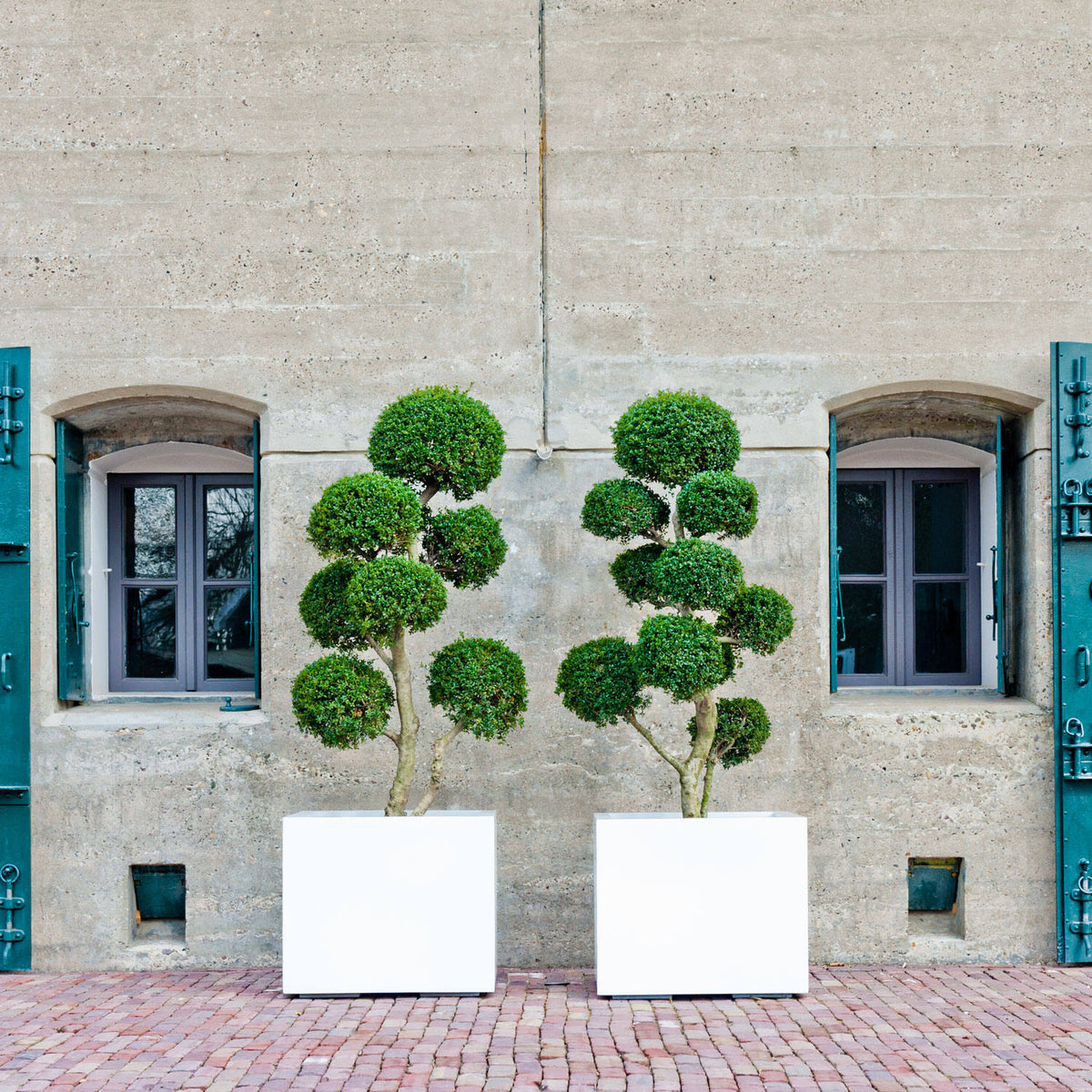 
Vaso per fiori di alta qualità per interni/esterni „Essential Jumbo XL“ - Bianco lucido / 70 x 70 x Altezza 62 cm