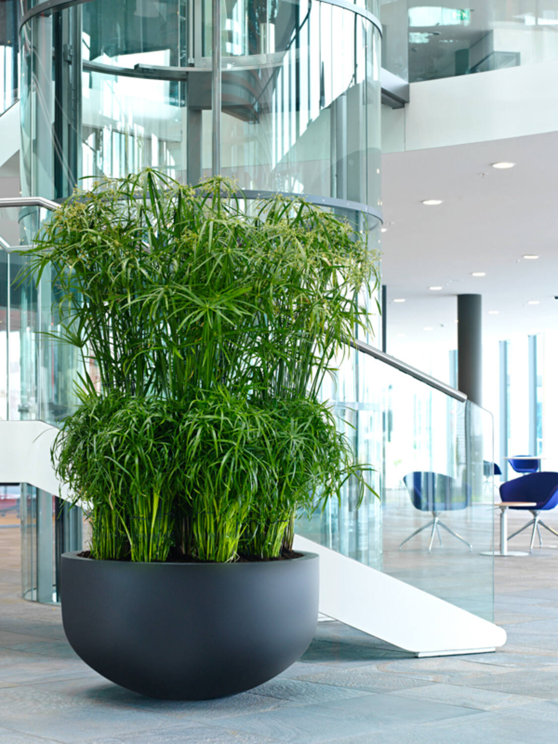 
High-quality indoor/outdoor planter "Natural Jumbo City Bowl" - Black / Ø 92 x 50 cm