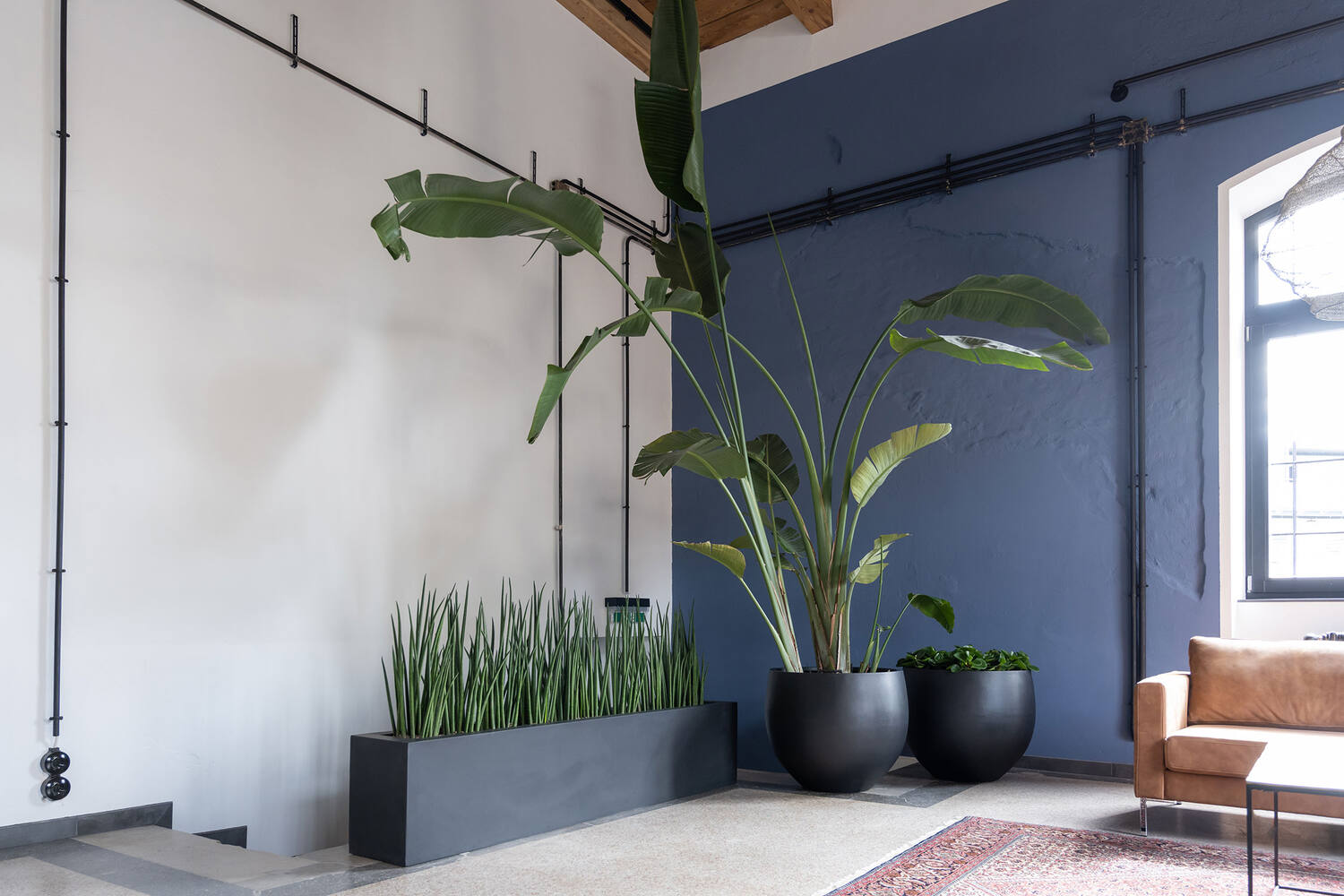 
High-quality indoor/outdoor planter "Natural Orb" - Black / Ø 68.5 x 57 cm