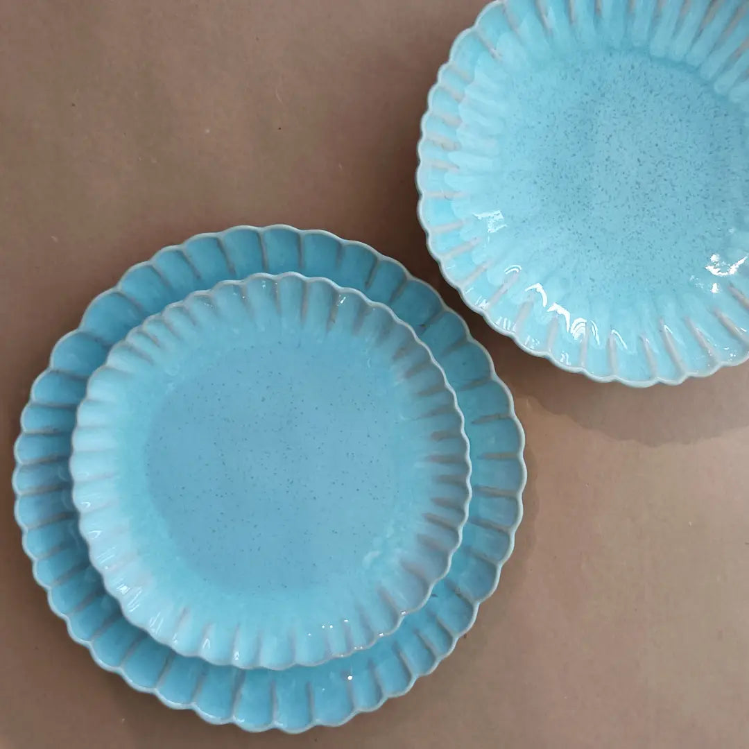 IMAGE for product variant SKU ERP271-SEA