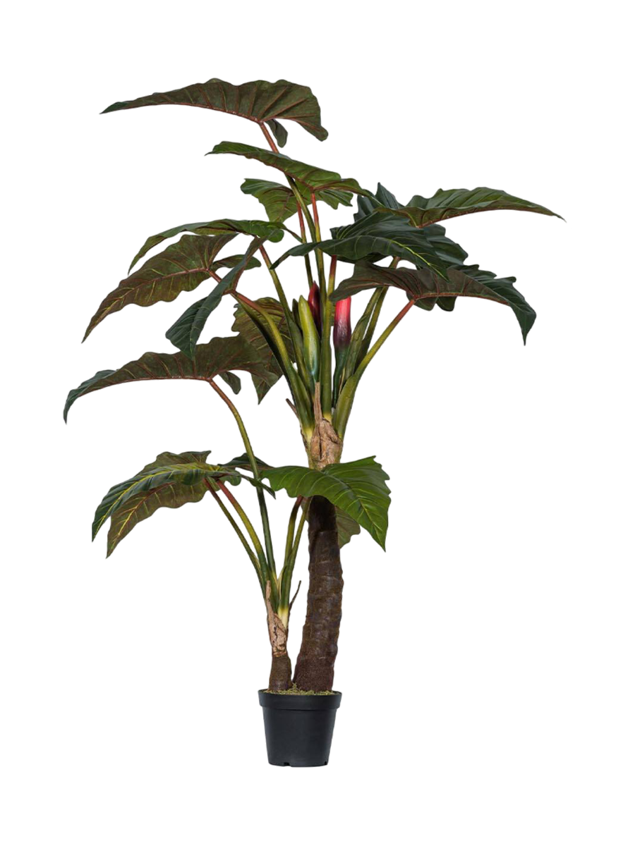 
Plante artificielle XL réaliste "Alocasia ramifiée", Ø 140 x 220 cm