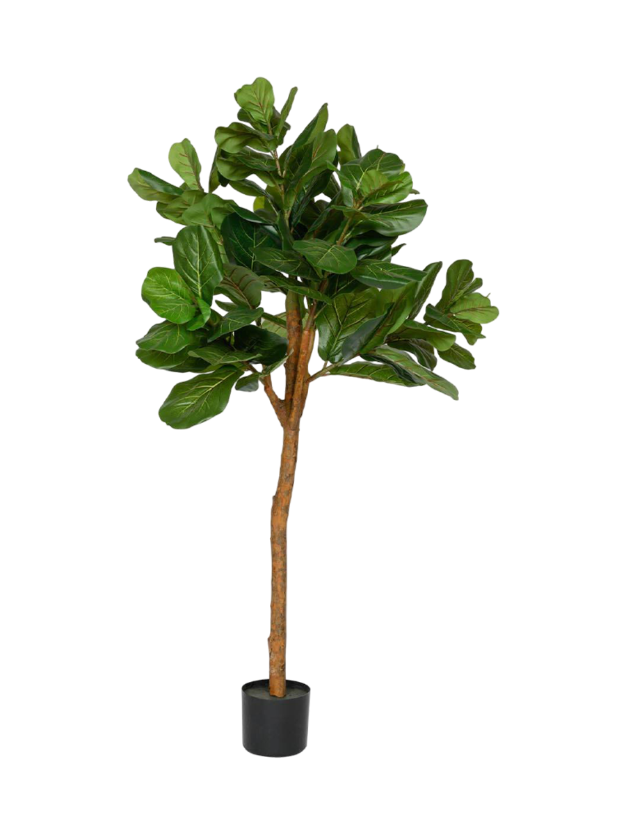 
Plante artificielle réaliste "Ficus Lyrata Tree", différentes tailles - Hauteur 180 cm