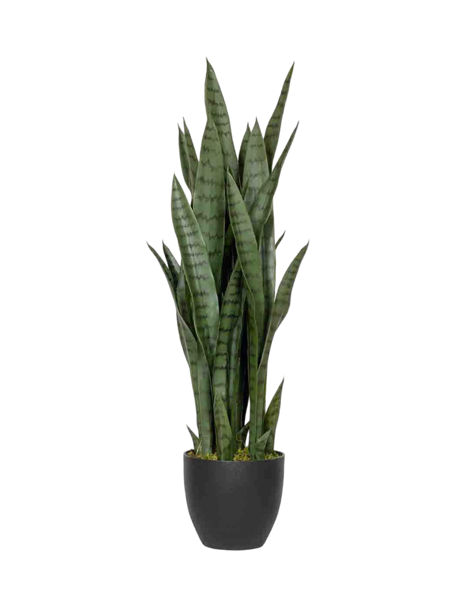 
Plante artificielle plus vraie que nature « Sansevieria »